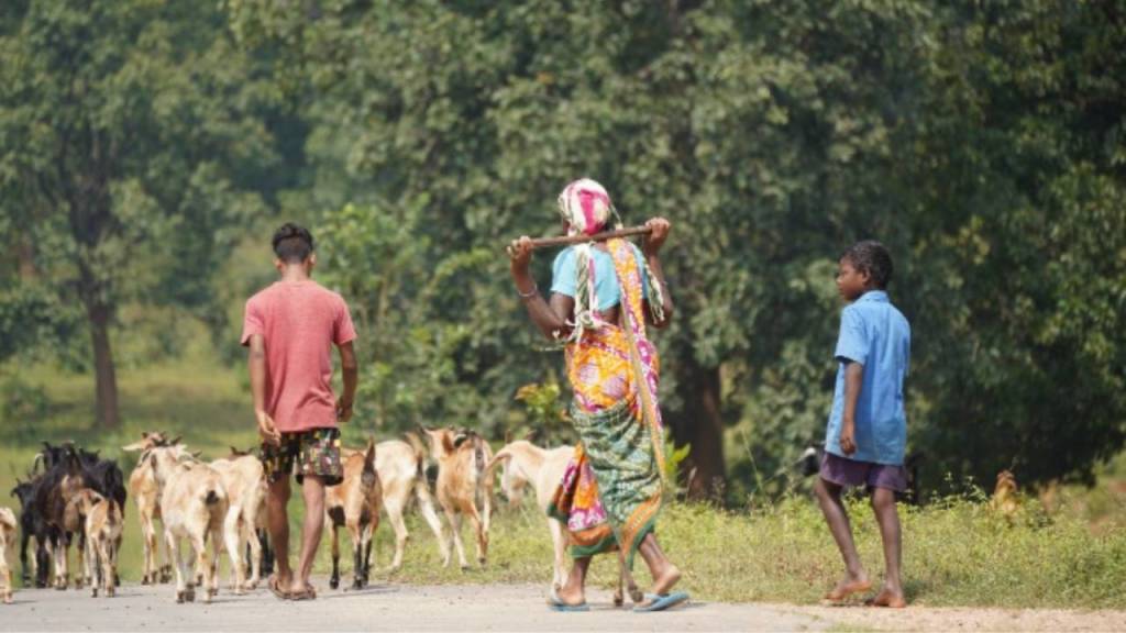 A woman in traditional attire walks with a stick, accompanied by two boys, along a road with a herd of cows in the background. They are surrounded by greenery.